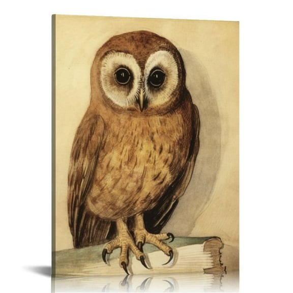COMIO  Albrecht Durer Prints - The Little Owl Animal Posters - Renaissance Art Canvas Famous Paintings Animal Wall Art for Office Living Room Bedroom Cool Wall Decor