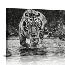 COMIO Animal Tiger Black and White Poster Canvas Wall Art Prints for Wall Decor Room Decor Bedroom Decor Gifts Frame-Style