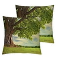 thumbnail image 1 of YANMS Beautiful Scenery Spring Meadow with Big Tree and Leaves Pillowcase 2-Pack Short Plush Pillowcase White, 1 of 6