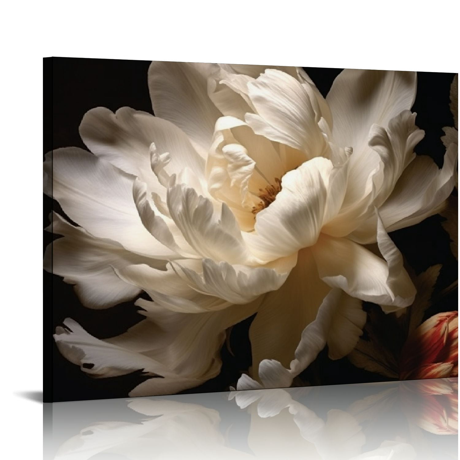 Modern Black & White Tulip Canvas Wall Art - 28x20 Inch Stretched Framed Print, Ready To Hang