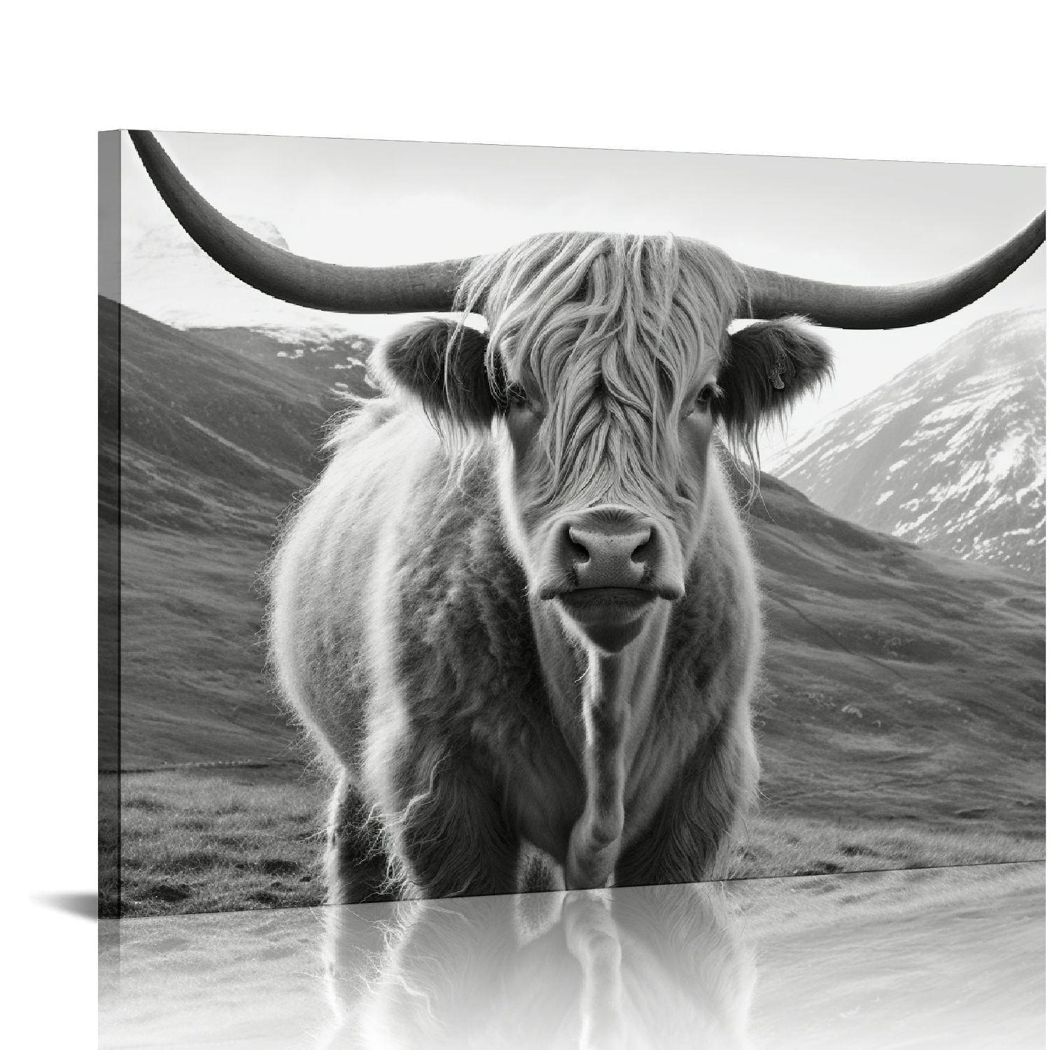COMIO Black and White Animal Canvas Wall Art Freedom Highland Cow