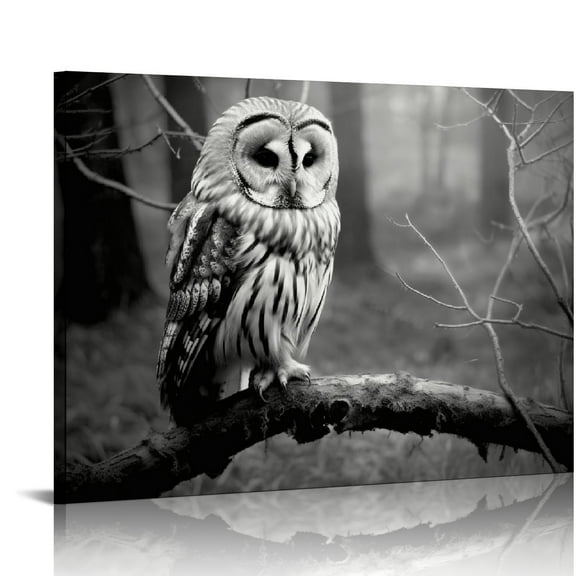COMIO Black and White Owl Canvas Wall Decor Bird Artwork, Wild Animal Owls on Branch Forest Night Landscape Picture Prints Poster for Home Living Room Bedroom Bathroom Decorations