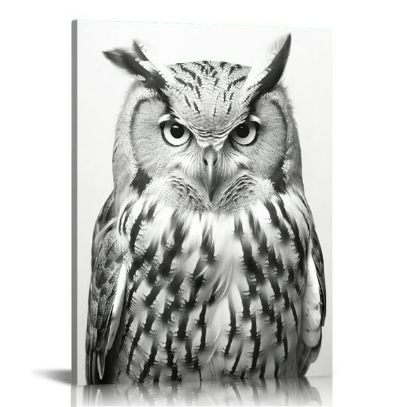 COMIO Black and White Owl Canvas Wall Decor Wild Animal Owls Picture Prints Poster Rustic Bird Home Decor Artwork for Living Room Bedroom Bathroom Decorations