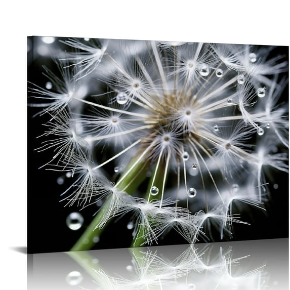 COMIO - Black and White Dandelion Canvas Print,Close-up Dewdrop on Floral Multi Pieces Wall Art,Modern Home Wall Decor Ready to Hang