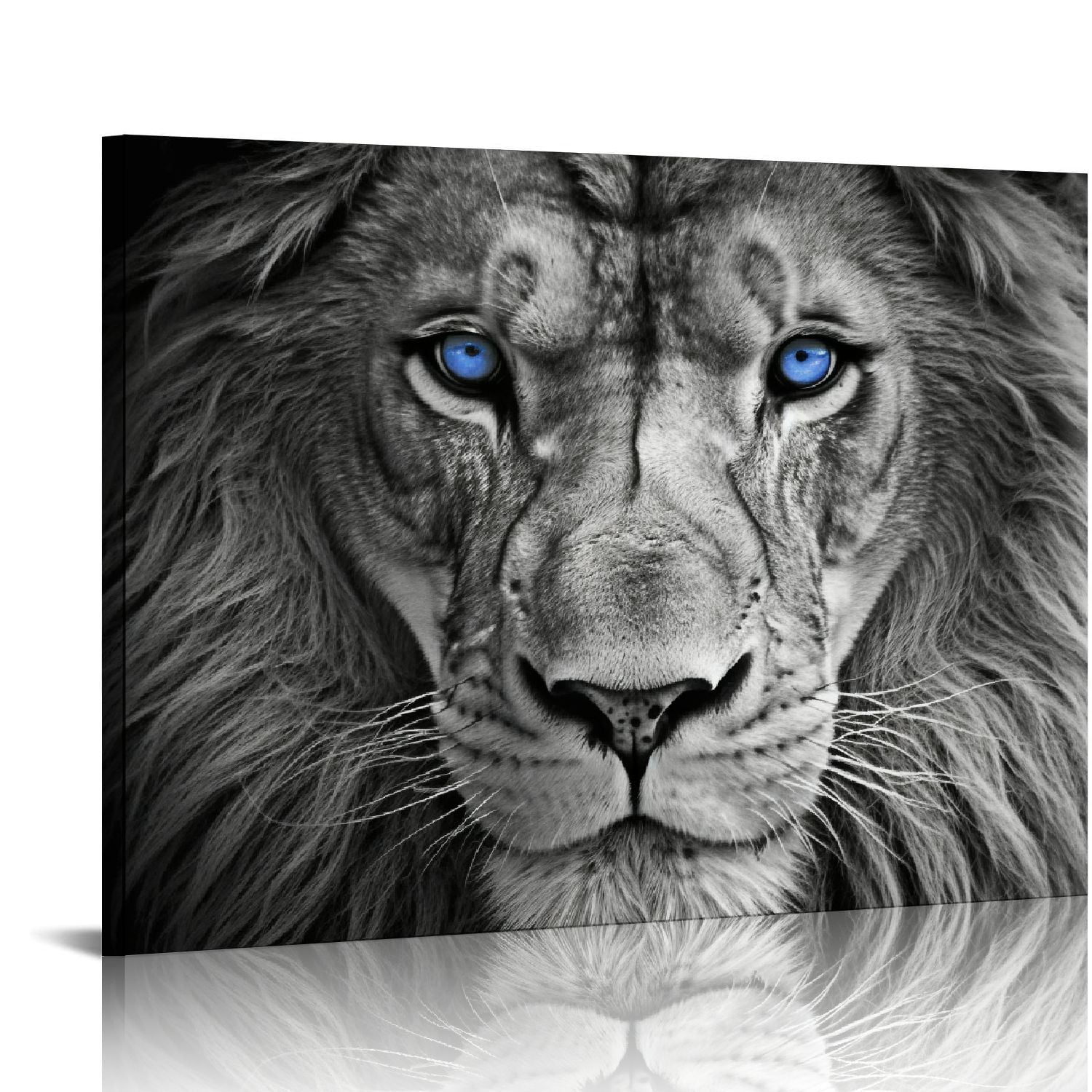 COMIO Blue Eyes Lion Animal Black and White Canvas Painting
