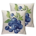 thumbnail image 1 of COMIO  Blueberry Pillows Nature Watercolor Painting Fruit Berries Green Leaves Throw Pillow Cover Decorative Pillow Case Square Cushion Accent Home  2pc, 1 of 6