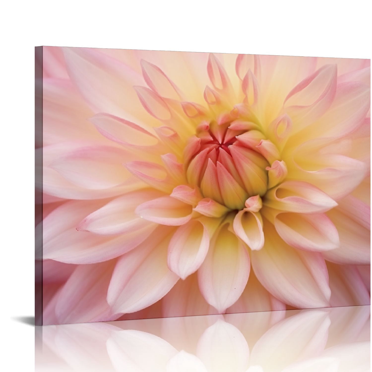 COMIO Canvas Wall Art Blush Pink and Yellow Dahlia Flower Floral Plants ...
