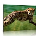 thumbnail image 1 of COMIO  Cheetah Running Photo Art Print Poster, 1 of 5