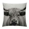 thumbnail image 1 of COMIO  Cow Decorative Pillow Cover Farmhouse Portrait of a Highland Cow Cattle Ox Horn Hairy Grey White Decorations Cushion Case for Sofa Couch, 1 of 5
