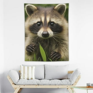 Racoon baby online blanket