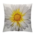 thumbnail image 1 of COMIO  Daisy Throw Pillow Covers White Petal Floral Plant Nature Bloom Botany Decorative Square Pillow Case Pillowcase Home Decor for for Sofa Bedroom Livingroom, 1 of 5