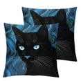 thumbnail image 1 of COMIO  Decorative Cat Pillow Covers Art Throw Cushion Case for Sofa Bed Home Decor Set of 2 Square Pillow Case Two Side Printed, 1 of 6