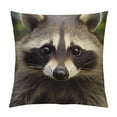 thumbnail image 1 of COMIO  Decorative Throw Pillow Covers Square Pillow Covers for Sofa Double Sided Pillow Covers Cub Raccoon Pillow Cases for Living Room Super Soft Decorative Cushion Cover, 1 of 5