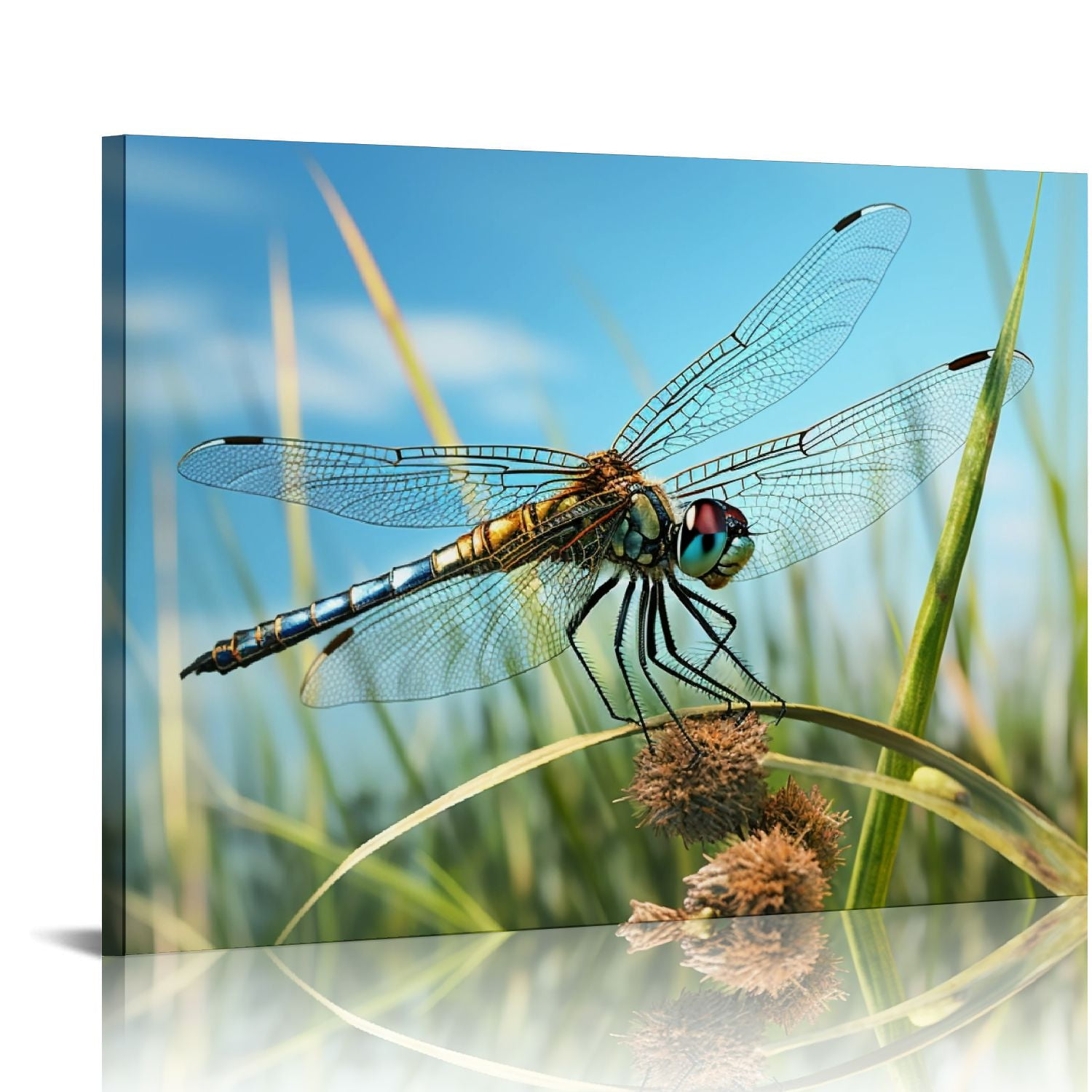 COMIO Dragonfly Sketches Art Painting Print Painting HD Waterproof
