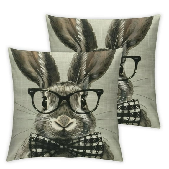 COMIO Easter Decorations Throw Pillow Cover armhouse Decorative Pillows Rabbits Home Décor Rustic for Spring Easter 2pc