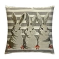 thumbnail image 1 of COMIO Easter Pillow Covers,Holiday Rabbit Decorations Throw Pillow Covers,Spring Farmhouse Decor Pillow Case for Home Sofa Couch Grey(06-12), 1 of 5