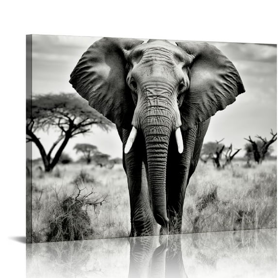 COMIO Elephant Picture Canvas Wall Art: African Wild Animals Artwork Painting Print for Living Room