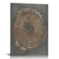 thumbnail image 1 of COMIO Framed  Print Wall Art Set Pastel Gray Wood Tree Ring Spirals Nature Abstract Drawings Modern Art Decorative Contemporary Minimal for Living Room, Bedroom, Office - Natural, 1 of 5