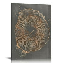 COMIO Framed Print Wall Art Set Pastel Gray Wood Tree Ring Spirals Nature Abstract Drawings Modern Art Decorative Contemporary Minimal for Living Room, Bedroom, Office - Natural