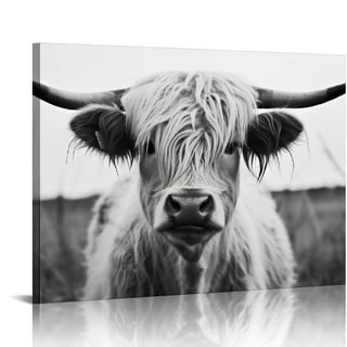 Black And White Highland Cow Print
