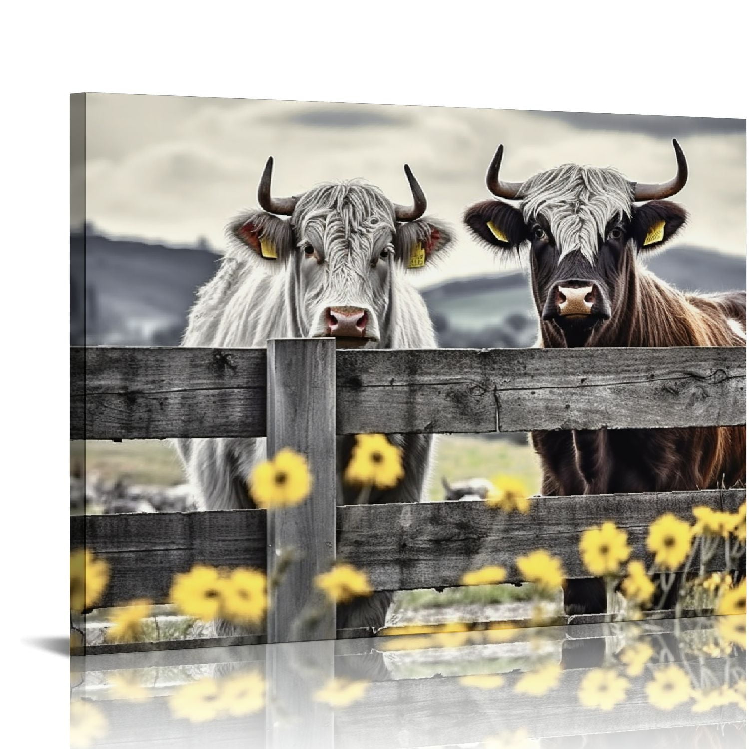 ARTCANVAS White Cows In The Field buy Home Decor Canvas Art Print