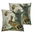 thumbnail image 1 of COMIO Hopyeer Rustic Vintage Animals Throw Pillow Covers  Decorative Cute Rabbits Dragonflies Robin Birds Butterfly Classical Pairs Garden Flowers Pillow Cushion Cover &nbsp;2pc, 1 of 6