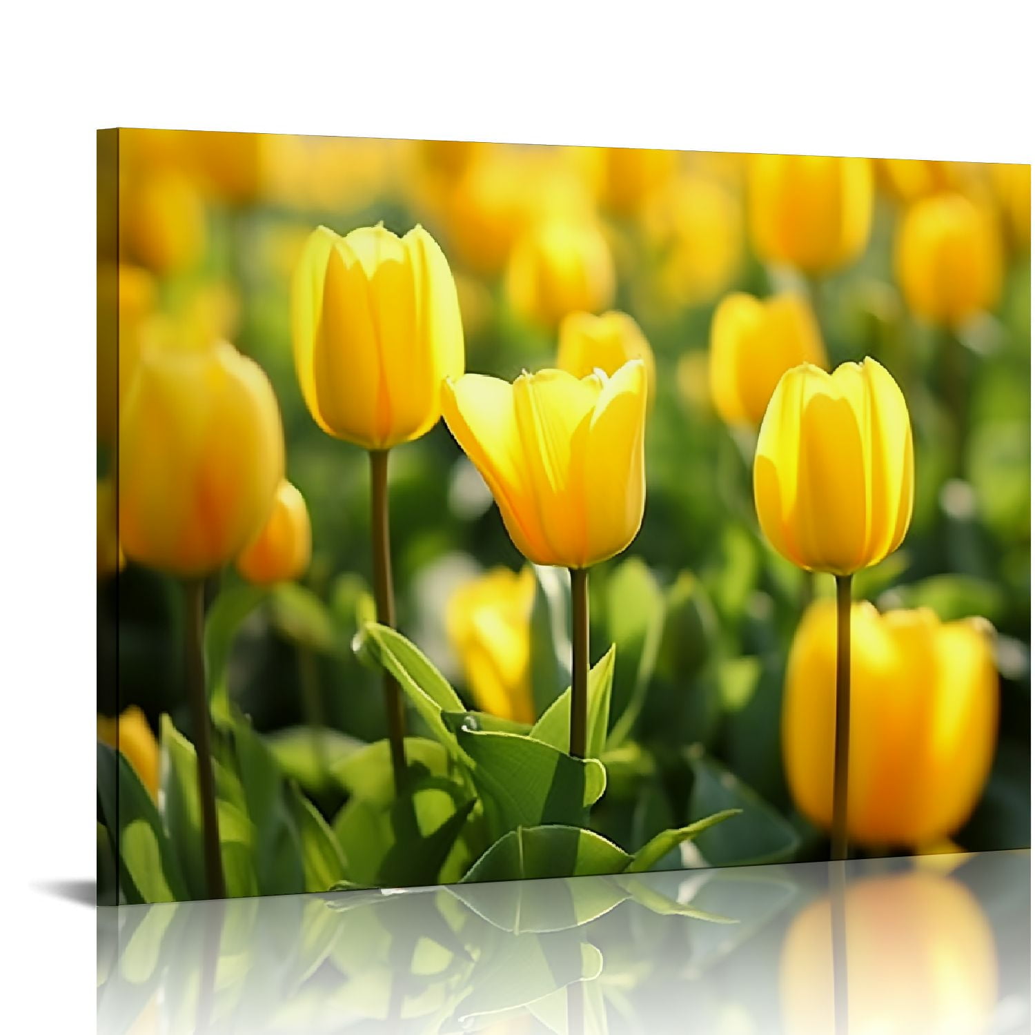 COMIO Large Canvas Wall Art Yellow