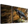 thumbnail image 1 of COMIO Large Framed Wall Art Ready to Hang Peregrine Falcon Canvas Print Artwork Wall Art Painting Pictures Home Office Wall Décor Modern Poster 12''x16''X3 Panels, 1 of 4