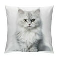 thumbnail image 1 of COMIO  Little Mountain Lion Throw Pillow Covers for Couch Bed Sofa Farmhouse Decoration, 1 of 5