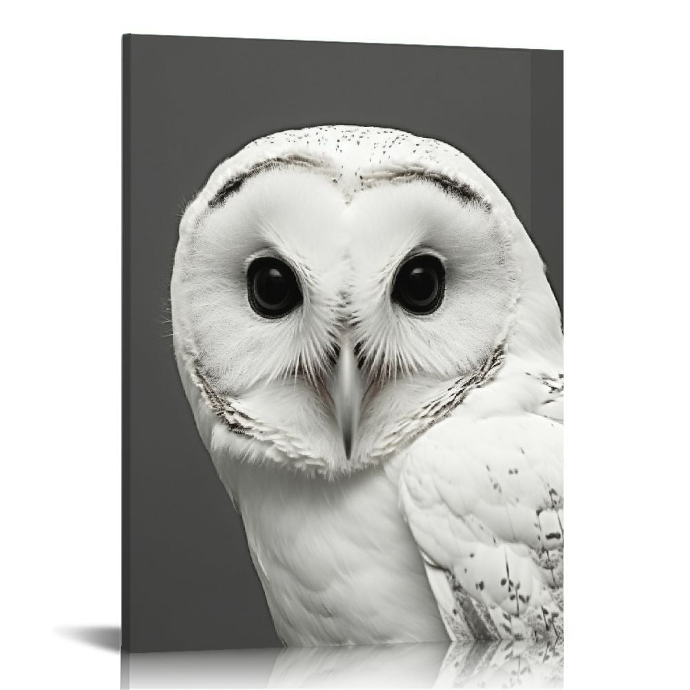 COMIO Owl Canvas Wall Art for Nursery Wild Animal Poster Black and ...