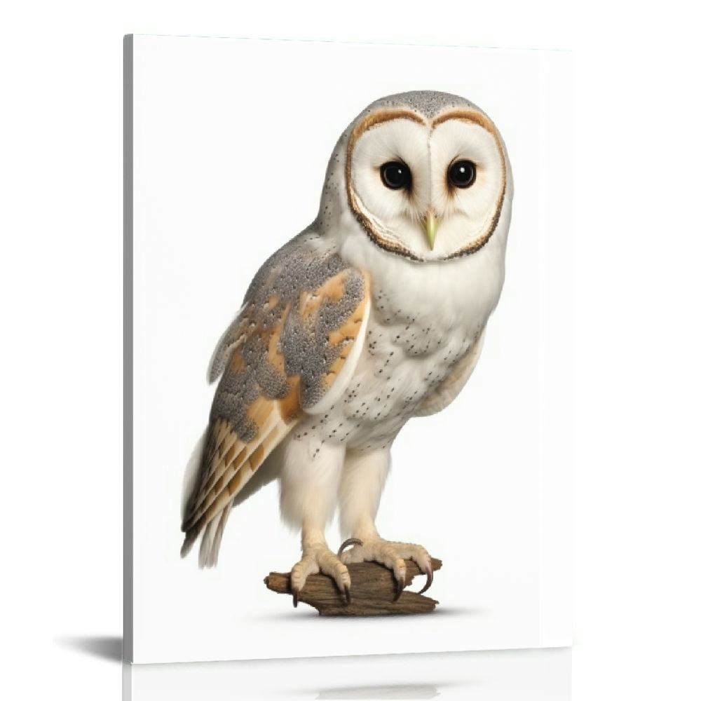 COMIO Owl Wall Art Owl Wall Decor Set of 16x20in Cute Owl Art Bird