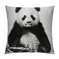 thumbnail image 1 of COMIO  Panda Pillow Covers Decorative Throw Pillow Covers Animal Lovely Black Panda Super Soft Pillow Case Outdoor Indoor Square Cushion Cover for Home Couch, 1 of 5
