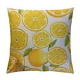 thumbnail image 1 of COMIO  Pillow Cover Lemon Fruit Yellow Summer Double-Sided Design Home Decor for Sofa Livingroom Couch Bed Decorative Throw Pillow Case Gift, 1 of 5