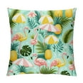 thumbnail image 1 of COMIO Pink Flamingos Pineapples Throw Pillow Covers Pillow Cover with Zipper Throw Pillow Cases Double Sided Plush Pillow Covers Decorative Throw Pillows Covers for Couch Living Room Bedroom, 1 of 5