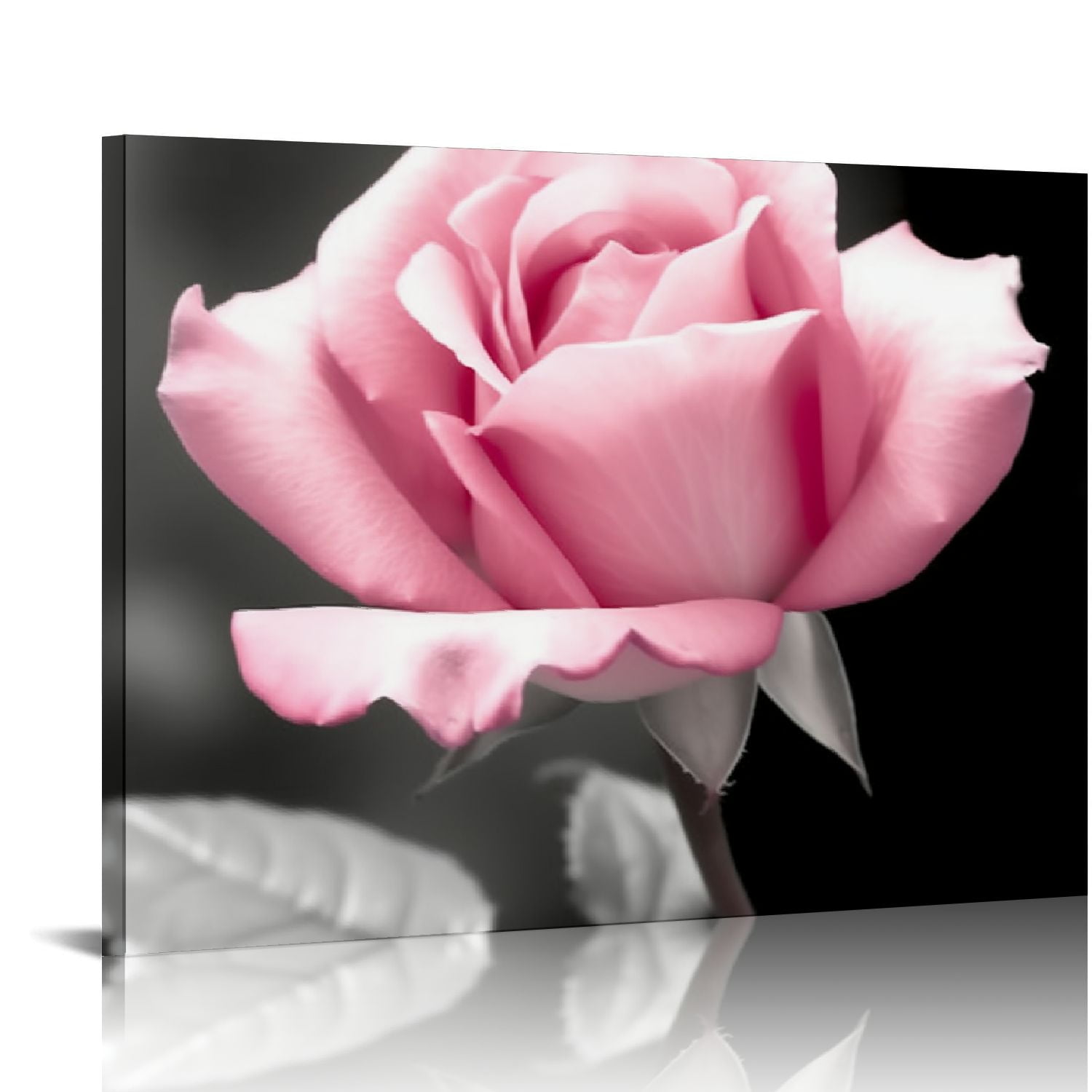 COMIO Pink Rose Flower Decor Wall Art Floral Paintings Prints Black and