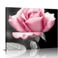 thumbnail image 1 of COMIO Pink Rose Flower Decor Wall Art Floral Paintings Prints Black and White Canvas Decoration for Bathroom Bedroom, 1 of 4