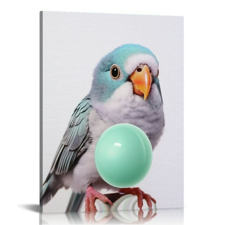 COMIO Portrait of Monk Parakeet Quaker Parrot Bird Chewing Teal