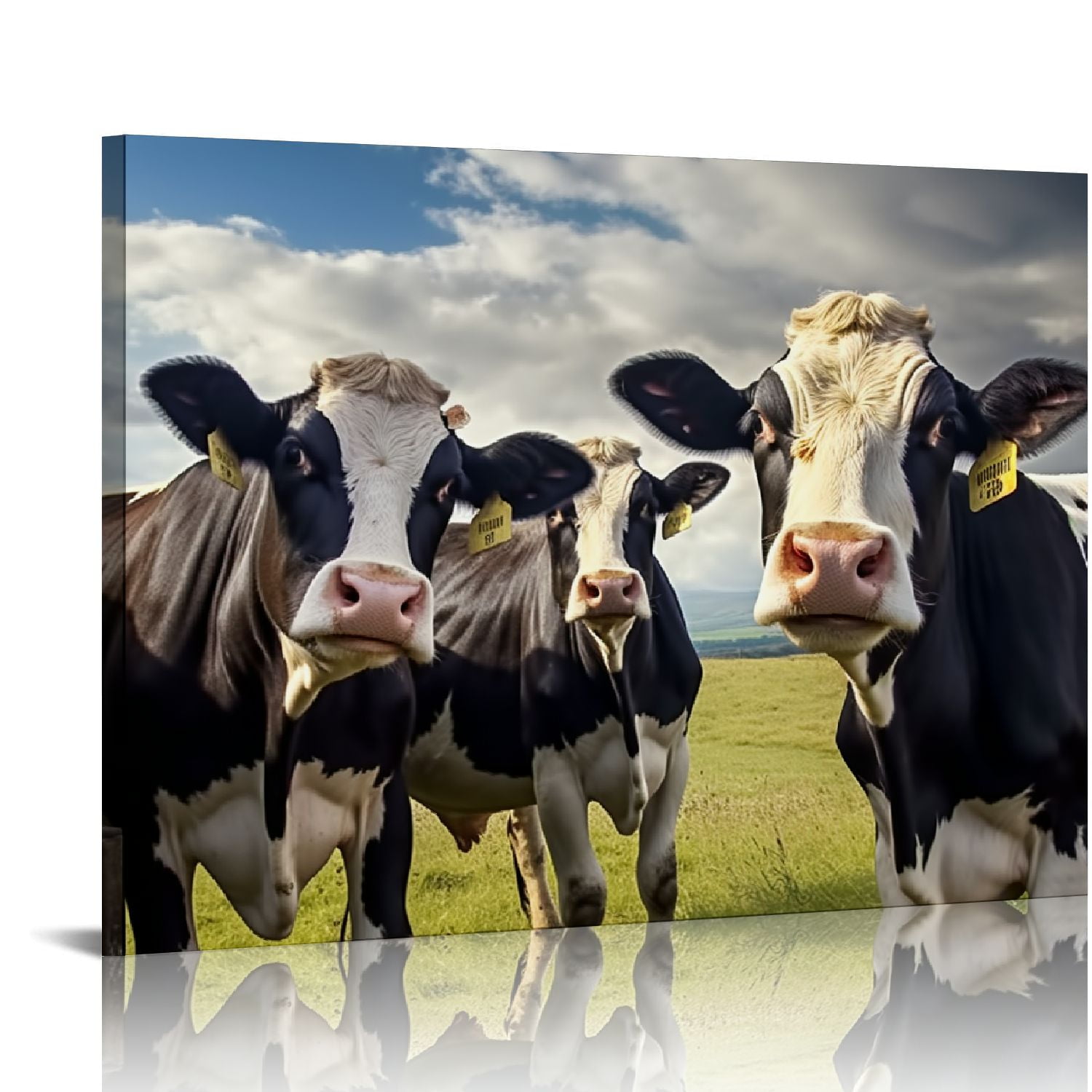 COMIO Rustic Cow Wall Art Funny Cows Window Pictures Wall Decor