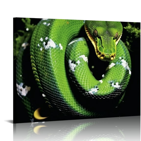 COMIO  Snake Pictures Wall Decor Poster Canvas Wall Art Animal Prints Printing、For Living Room Bedroom Office