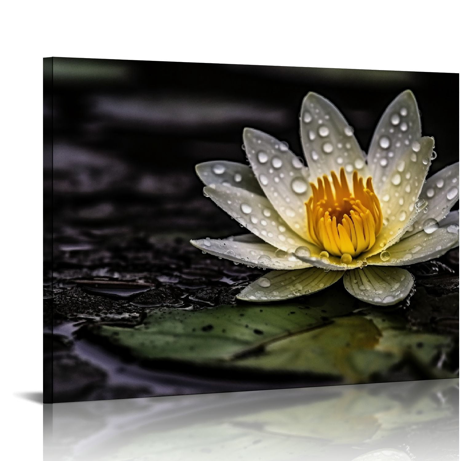 COMIO Spa Zen Wall Art White Lotus Flower in the Storm Canvas Picture ...