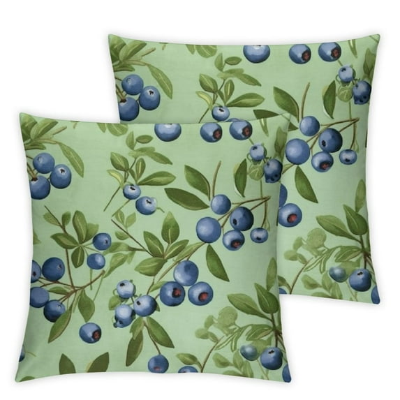 COMIO Summer Blueberries Pattern Throw Pillow Covers Pillow Cases Square Decorative Pillow Covers Soft Cushion Covers for Couch Sofa Bed Home Farmhouse Living Room Decoration 2pc