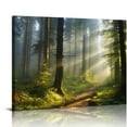 thumbnail image 1 of COMIO Sunrise Forest Wall Art Green Tree Pictures for Wall Landscape Canvas Print Modern Artwork Framed Nature Wall Decor for Living Room Bedroom Kitchen Office, 1 of 5