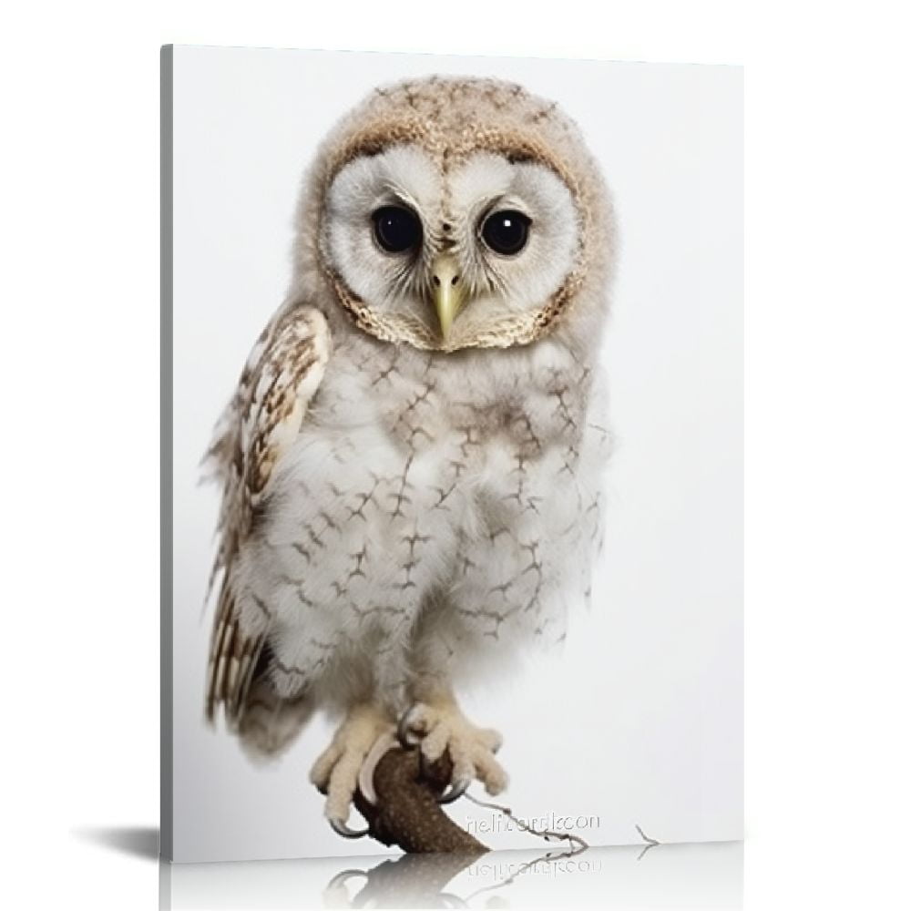 COMIO Sylvie Animal Studio Owl Framed Canvas Wall Art Modern Bird ...