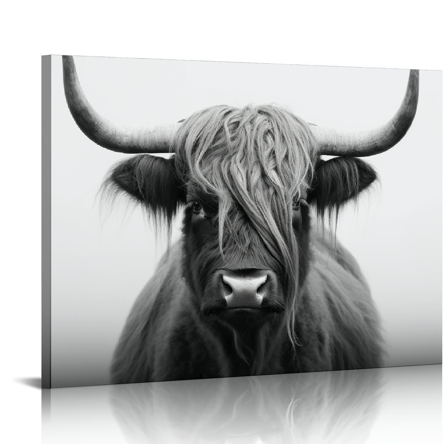 Highland Cow Black and White Canvas Wall Art 16x20