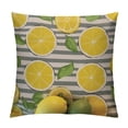 thumbnail image 1 of COMIO  Throw Pillow Cover Lemons Black and White Stripes Summer Fresh Fruits Modern Design Rectangular Throw Pillow Covers for Couch Sofa Home Decor, 1 of 5