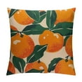 thumbnail image 1 of COMIO Throw Pillow Cover Pretty Oranges Summer Fruits Decorative Throw Pillow Case Square Home Couch Bed Pillowcase, 1 of 5