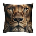 thumbnail image 1 of COMIO Throw Pillow Covers Lion Black Decorative Pillow Cases Home Decor Standard Square Pillowcases, 1 of 5