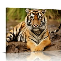 COMIO Tiger Wall Art Ferocity Wild Animal Tiger Canvas Prints Painting Wildlife Animal Picture for Home Decor (16" x 12")