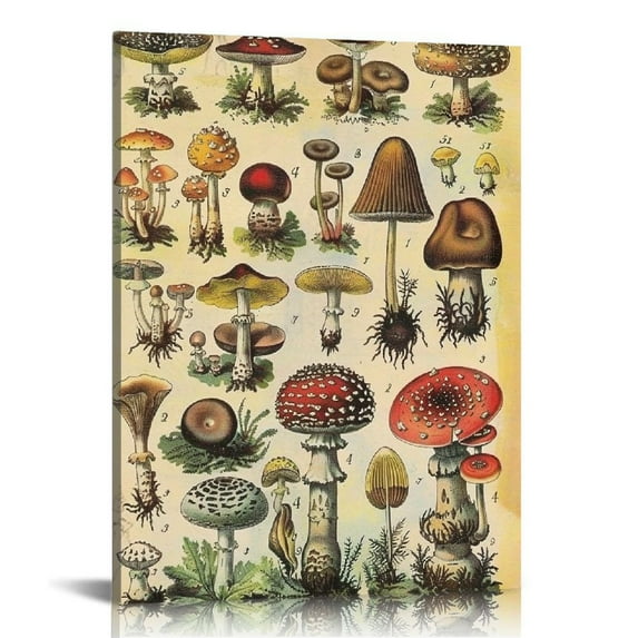 COMIO Vintage Mushroom Poster Fungus Wall Art Prints Rustic Mushroom Wall Hanging Illustrative Reference Chart Poster for Living Room Office Classroom Bedroom Decor Frame