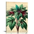 thumbnail image 1 of COMIO Vintage Plant Poster - Plants Vintage Wall Art Prints, Green Plant Wall Art, Upcycled Dictionary Poster, Plant Pictures Botanical Book Pages Wall Decor for Home Bedroom, 1 of 5
